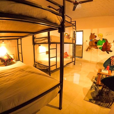 Hotel Funky Backpackers Udaipur Exterior foto